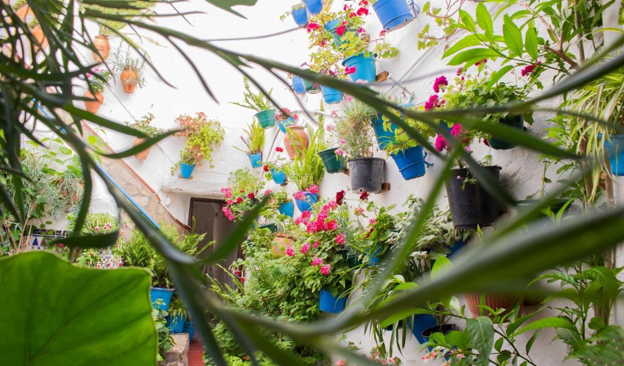 Casa Arco De La Pastora Lejlighed Medina-Sidonia Eksteriør billede